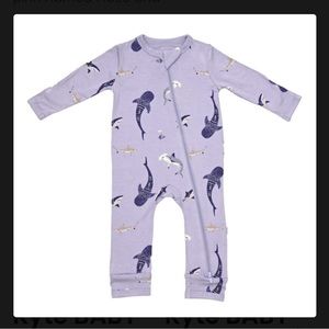 ISO Taro Shark KyteBaby